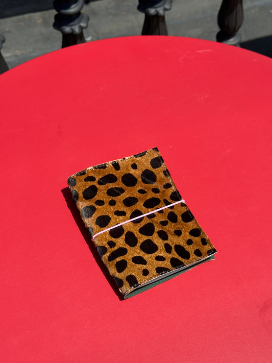Lexie Lombard's Passport Case
