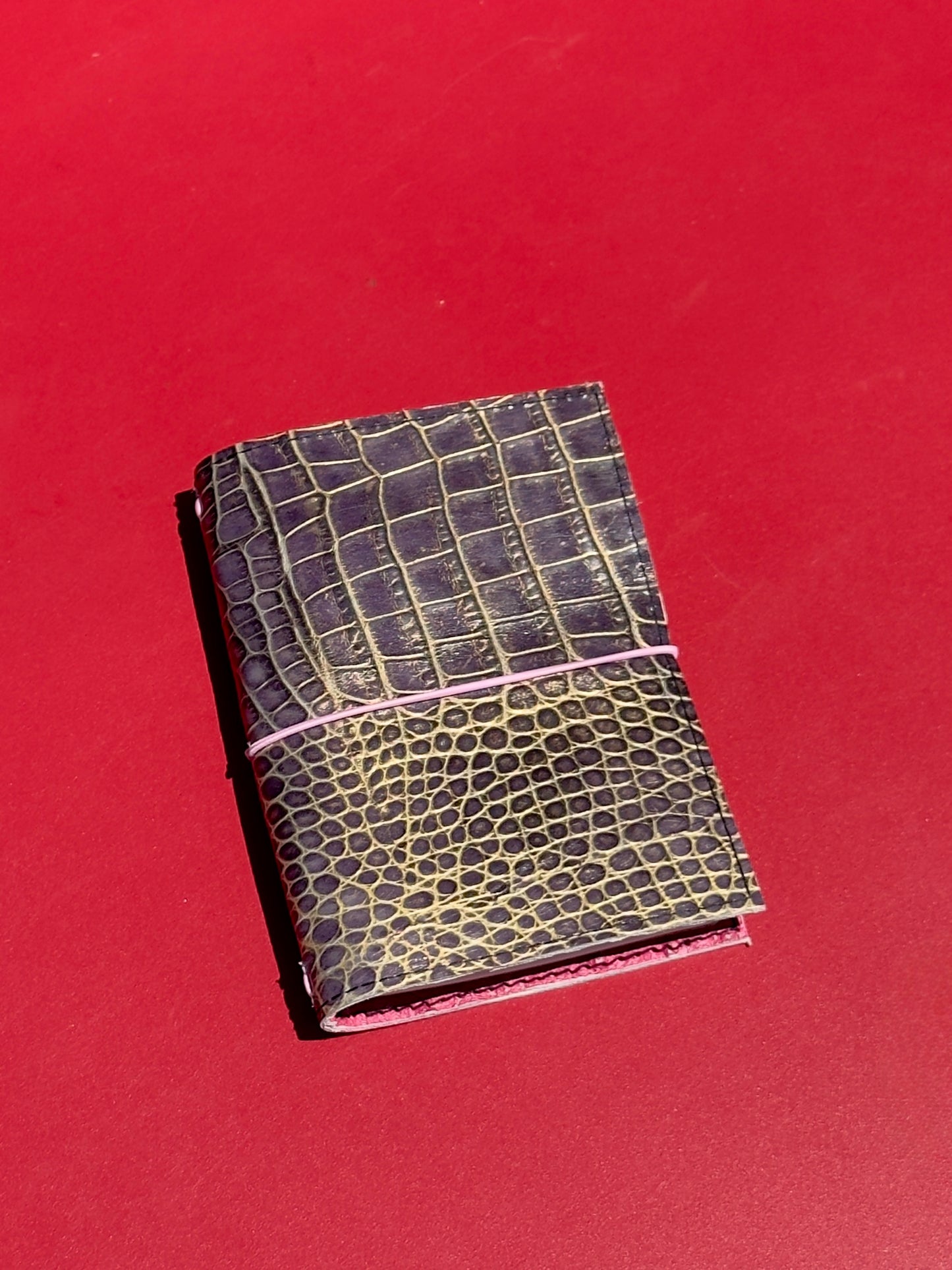 Lexie Lombard's Passport Case