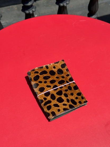 Lexie Lombard's Passport Case
