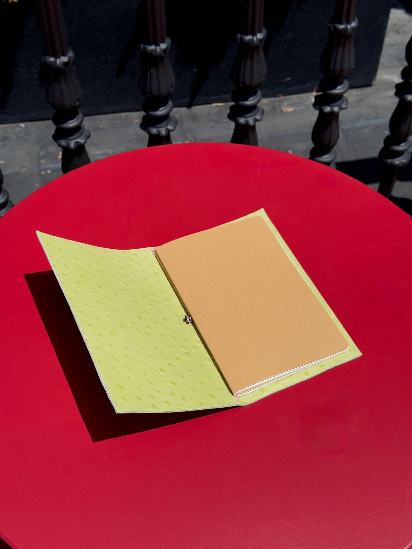 Lexie Lombard's Passport Case