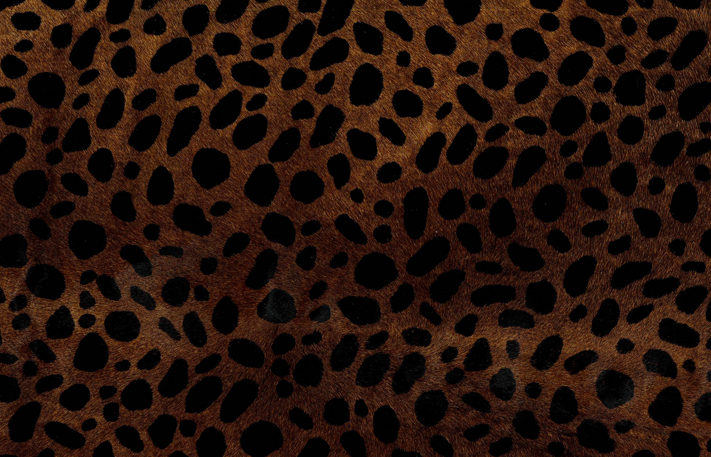 Hand dyed cheetah-print cowhide with natural patina, sourced in Los Angeles"