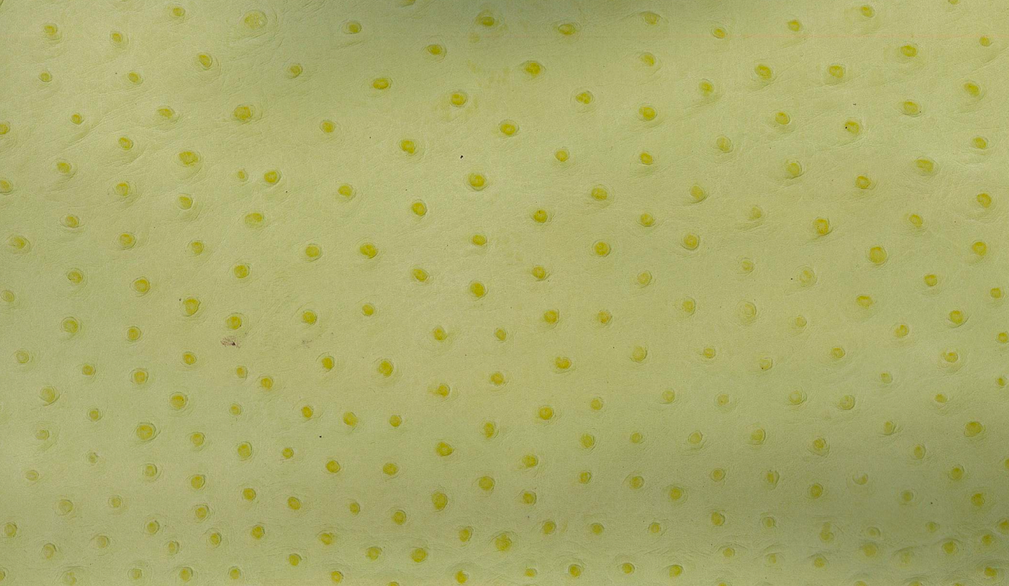Lambskin embossed with ostrich texture in vivid lime, hand-stitched in Los Angeles"