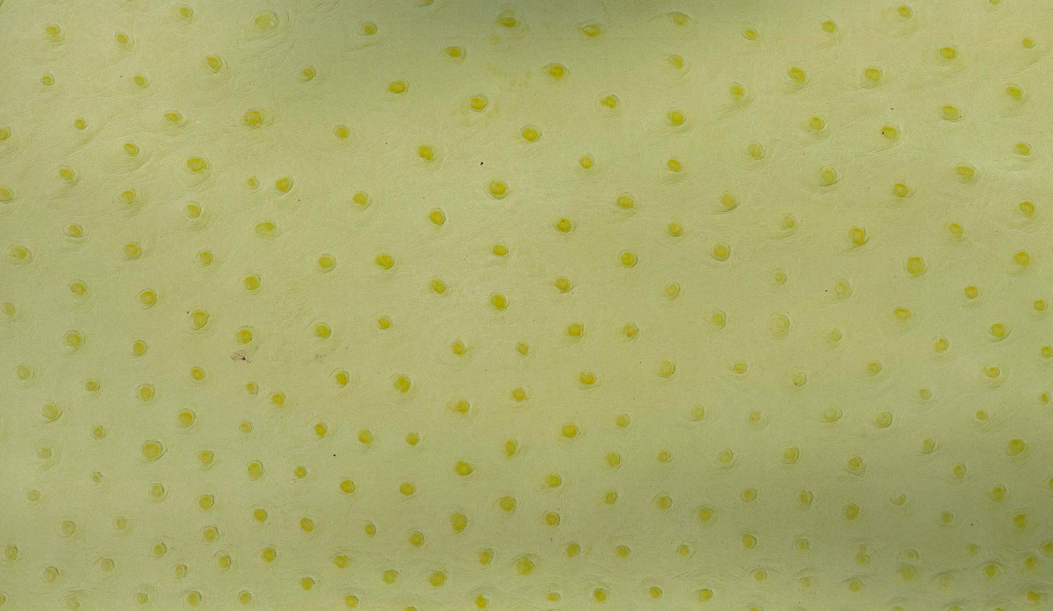 Lambskin embossed with ostrich texture in vivid lime, hand-stitched in Los Angeles"