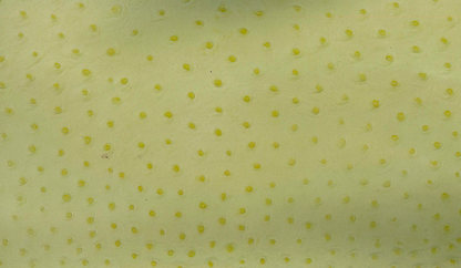 Lambskin embossed with ostrich texture in vivid lime, hand-stitched in Los Angeles"