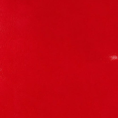 Lexie Lombard's Passport Case