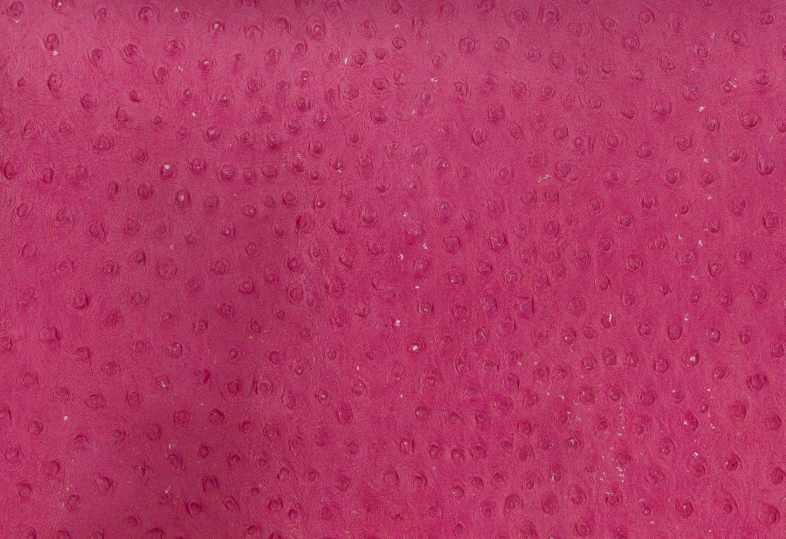 Lambskin embossed with ostrich texture in soft pink, sourced in Los Angeles. 