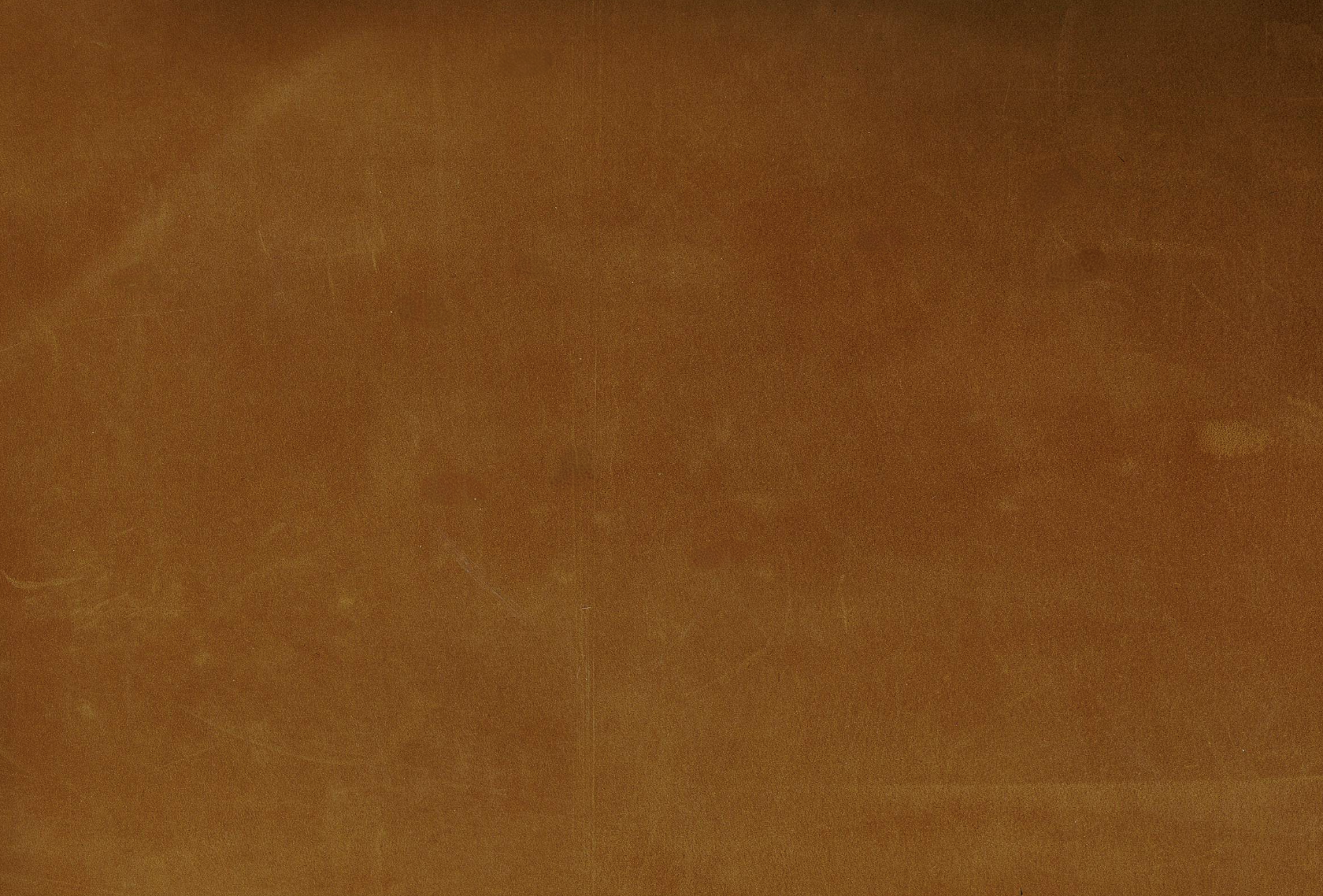 Saddle-tanned leather with a warm caramel patina, hand-sourced in Los Angeles. 